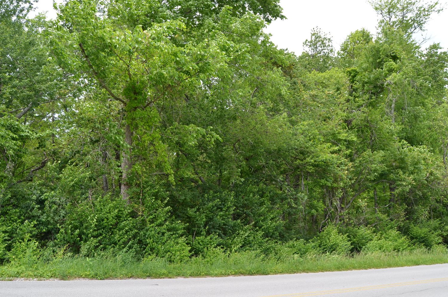 Cook Rd: Cook Rd, Crossville, TN 38555